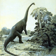 Image for article titled Animals that dine on rocks to survive